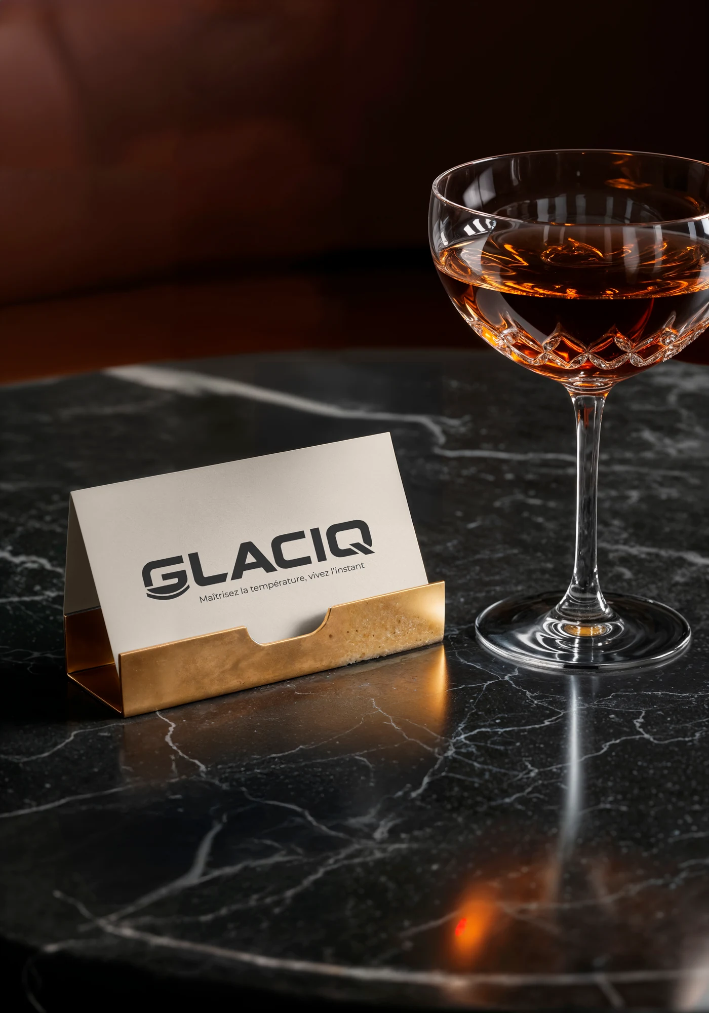 Glacic — Logo — visuel 2